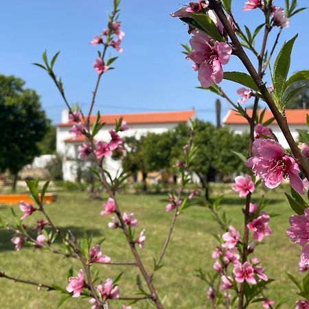 فندق Casa Do Prado تومار المظهر الخارجي الصورة